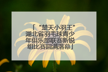 “楚天小羽王”湖北省羽毛球青少年俱乐部联赛新锐组比赛圆满落幕