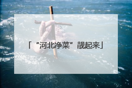 “河北净菜”靓起来