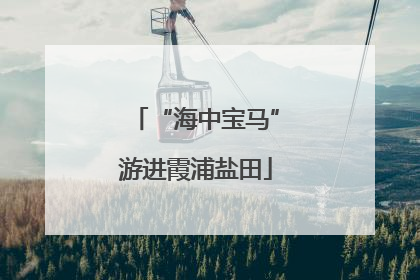 “海中宝马”游进霞浦盐田