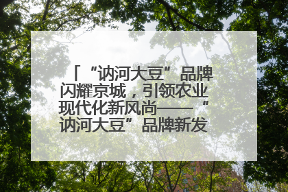 “讷河大豆”品牌闪耀京城，引领农业现代化新风尚——“讷河大豆”品牌新发地推介会圆满落幕