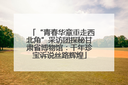 “青春华章重走西北角”采访团探秘甘肃省博物馆：千年珍宝诉说丝路辉煌