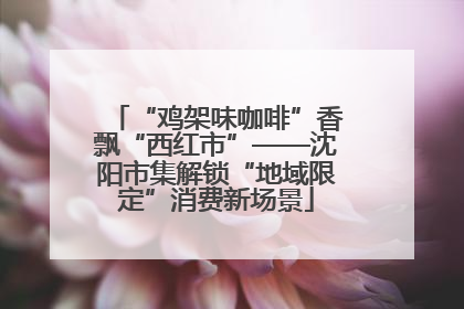 “鸡架味咖啡”香飘“西红市”——沈阳市集解锁“地域限定”消费新场景