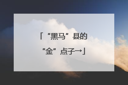 “黑马”县的“金”点子→