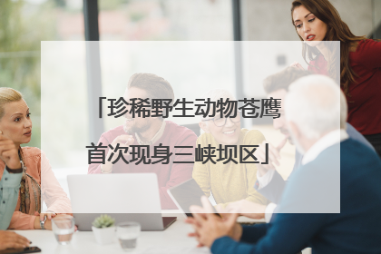 珍稀野生动物苍鹰首次现身三峡坝区