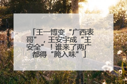 王一博变“广西表哥”，王安宇成“王安全”！谁来了两广都得“腌入味”