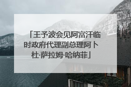 王予波会见阿富汗临时政府代理副总理阿卜杜·萨拉姆·哈纳菲
