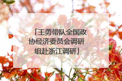王勇带队全国政协经济委员会调研组赴浙江调研