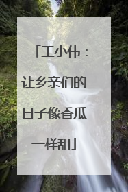 王小伟：让乡亲们的日子像香瓜一样甜