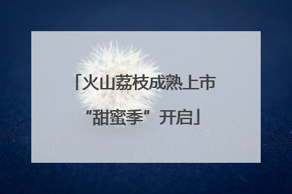 火山荔枝成熟上市 “甜蜜季”开启