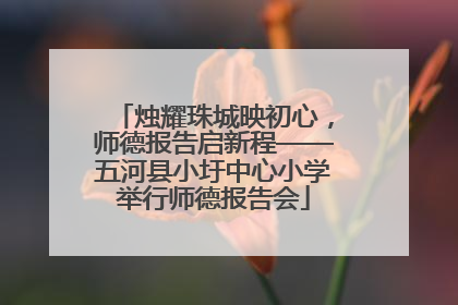 烛耀珠城映初心，师德报告启新程——五河县小圩中心小学举行师德报告会