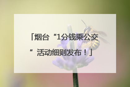 烟台“1分钱乘公交”活动细则发布！