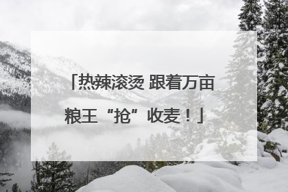 热辣滚烫 跟着万亩粮王“抢”收麦！