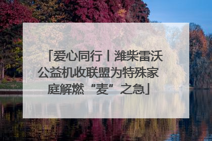 爱心同行丨潍柴雷沃公益机收联盟为特殊家庭解燃“麦”之急