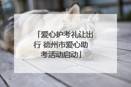 爱心护考礼让出行 德州市爱心助考活动启动