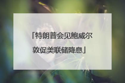特朗普会见鲍威尔 敦促美联储降息