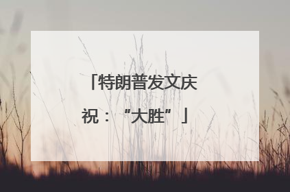 特朗普发文庆祝：“大胜”