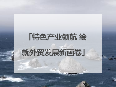 特色产业领航 绘就外贸发展新画卷
