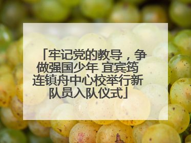 牢记党的教导，争做强国少年 宜宾筠连镇舟中心校举行新队员入队仪式