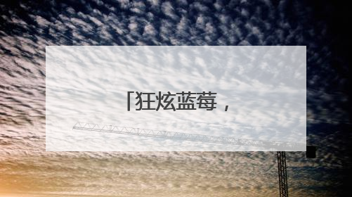 狂炫蓝莓，夏日游黄陂，快乐不宕机