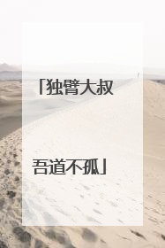 独臂大叔 吾道不孤