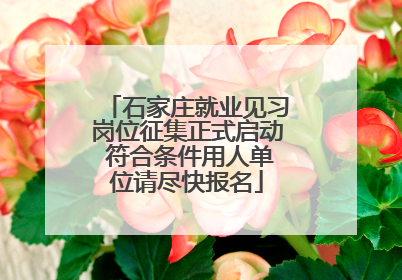 石家庄就业见习岗位征集正式启动 符合条件用人单位请尽快报名