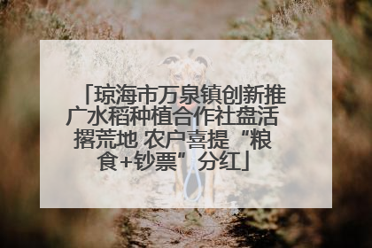 琼海市万泉镇创新推广水稻种植合作社盘活撂荒地 农户喜提“粮食+钞票”分红
