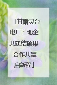 甘肃灵台电厂：地企共建结硕果 合作共赢启新程