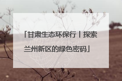 甘肃生态环保行丨探索兰州新区的绿色密码
