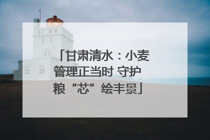 甘肃清水：小麦管理正当时 守护粮“芯”绘丰景