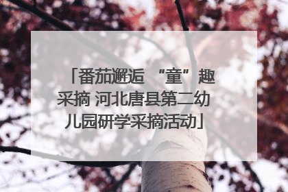 番茄邂逅 “童”趣采摘 河北唐县第二幼儿园研学采摘活动