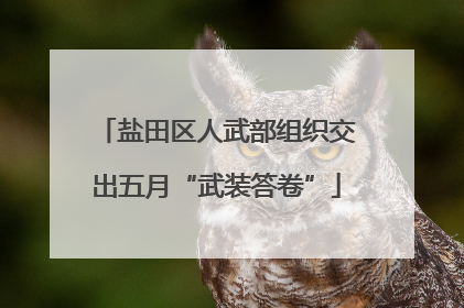 盐田区人武部组织交出五月“武装答卷”