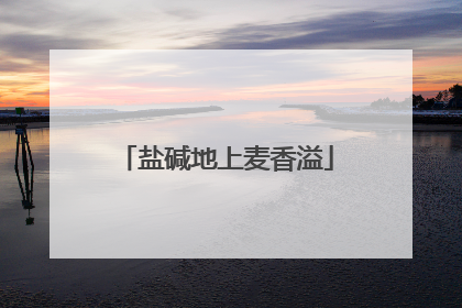 盐碱地上麦香溢