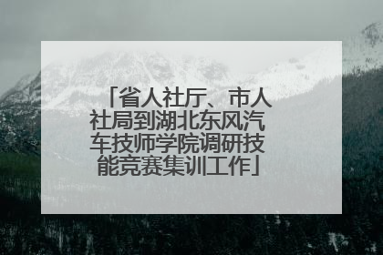 省人社厅、市人社局到湖北东风汽车技师学院调研技能竞赛集训工作