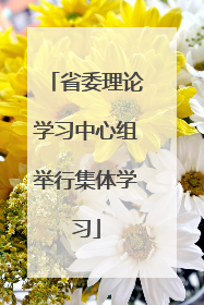 省委理论学习中心组举行集体学习