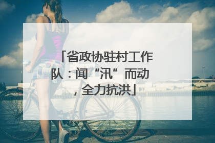 省政协驻村工作队：闻“汛”而动，全力抗洪