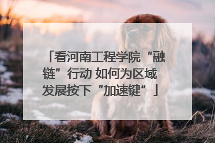 看河南工程学院“融链”行动 如何为区域发展按下“加速键”