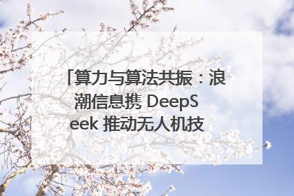 算力与算法共振：浪潮信息携 DeepSeek 推动无人机技术在舟山落地