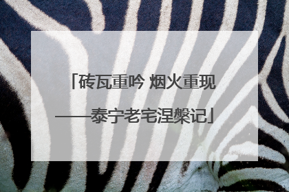 砖瓦重吟 烟火重现——泰宁老宅涅槃记