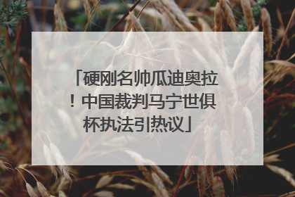 硬刚名帅瓜迪奥拉！中国裁判马宁世俱杯执法引热议