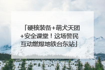 硬核装备+萌犬天团+安全课堂！这场警民互动燃爆地铁台东站