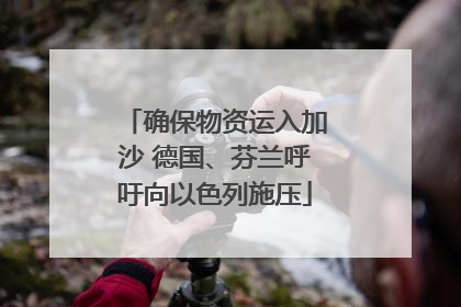 确保物资运入加沙 德国、芬兰呼吁向以色列施压