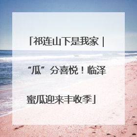 祁连山下是我家｜“瓜”分喜悦！临泽蜜瓜迎来丰收季