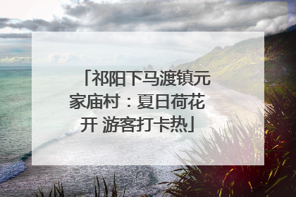 祁阳下马渡镇元家庙村：夏日荷花开 游客打卡热
