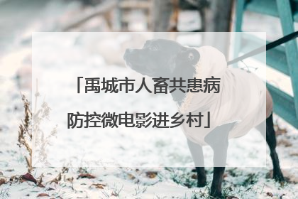 禹城市人畜共患病防控微电影进乡村