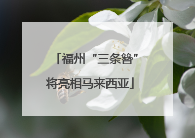 福州“三条簪”将亮相马来西亚
