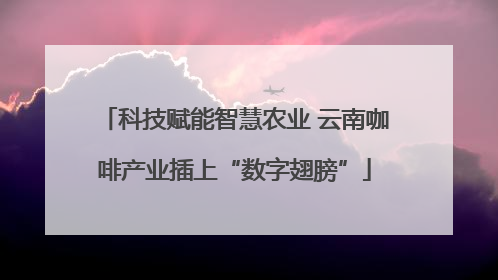科技赋能智慧农业 云南咖啡产业插上“数字翅膀”