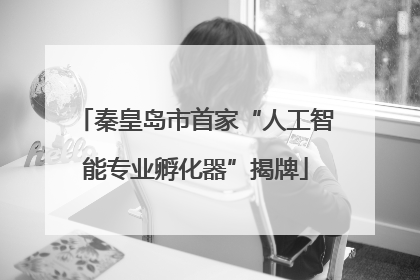 秦皇岛市首家“人工智能专业孵化器”揭牌