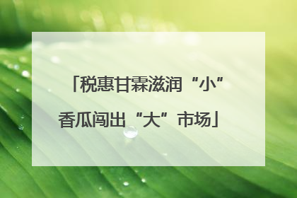 税惠甘霖滋润“小”香瓜闯出“大”市场