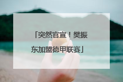 突然官宣！樊振东加盟德甲联赛