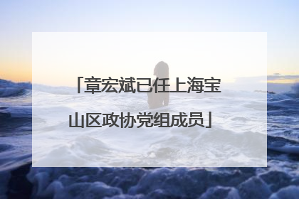 章宏斌已任上海宝山区政协党组成员